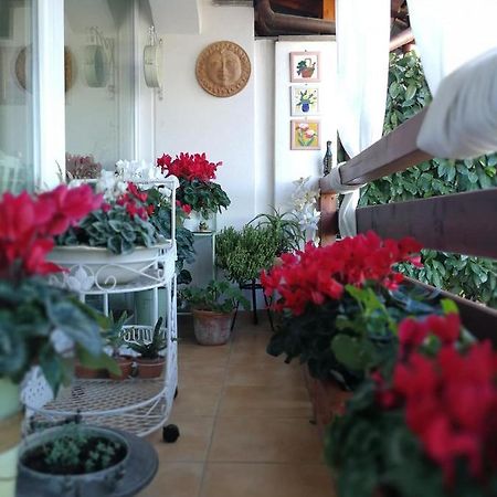 Casa Di Amici Panzió Campagnano Di Roma Kültér fotó