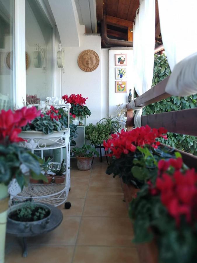Casa Di Amici Panzió Campagnano Di Roma Kültér fotó